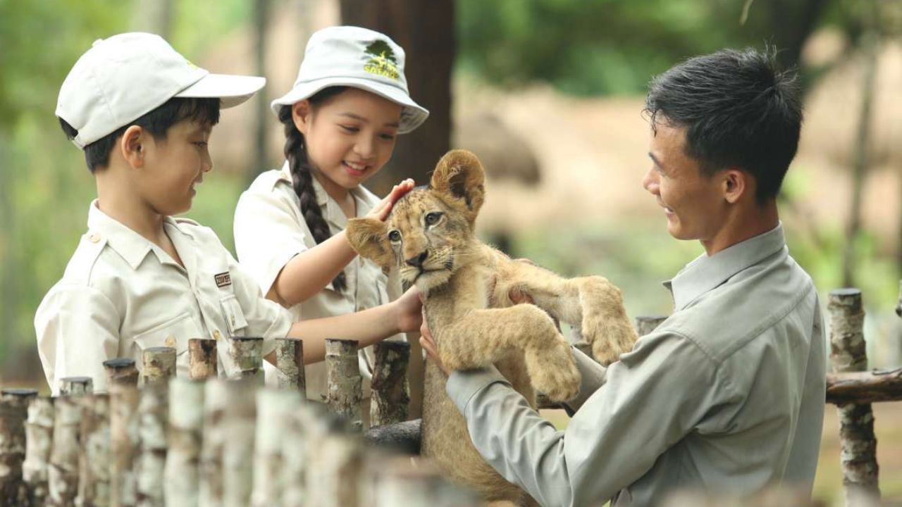 Khi mua vé Safari Phú Quốc trẻ nhỏ được trải nghiệm những hoạt động thú vị