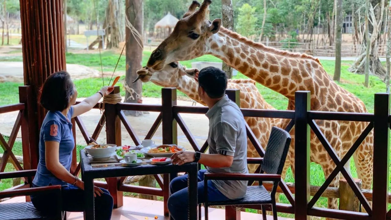 Tại Safari có nhiều nhà hàng phục vụ ăn uống