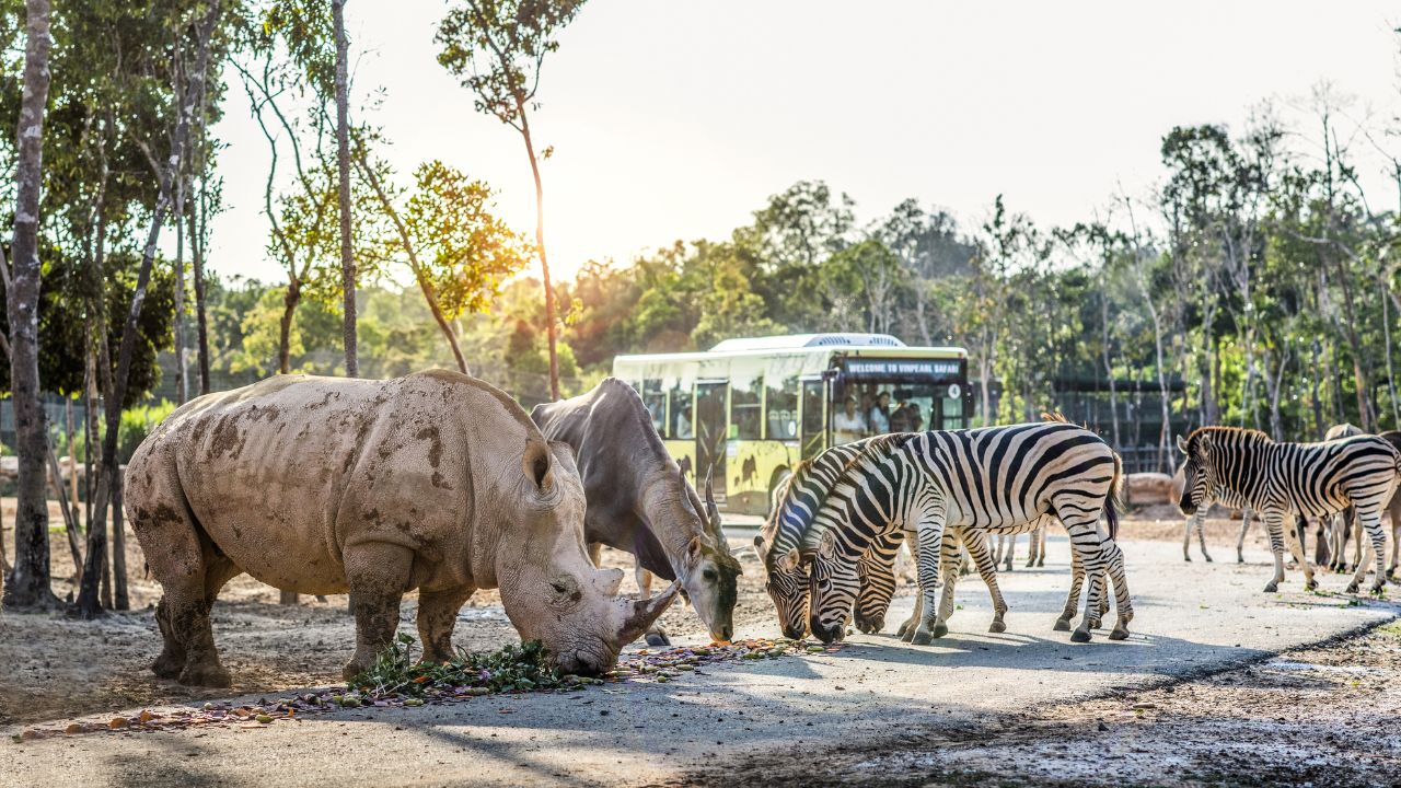 Động vật hoang dã tại Safari Phú Quốc